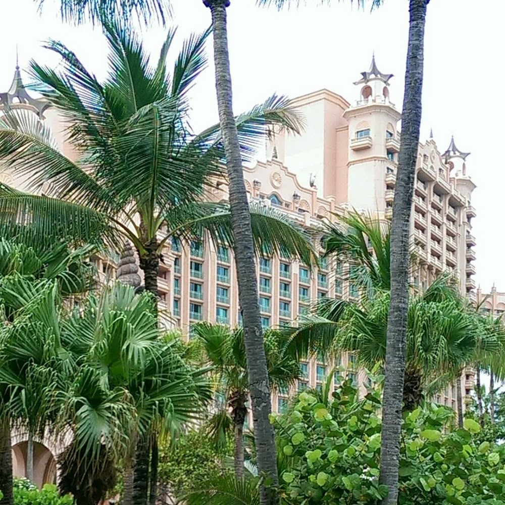 Meet your Posher, Nikki